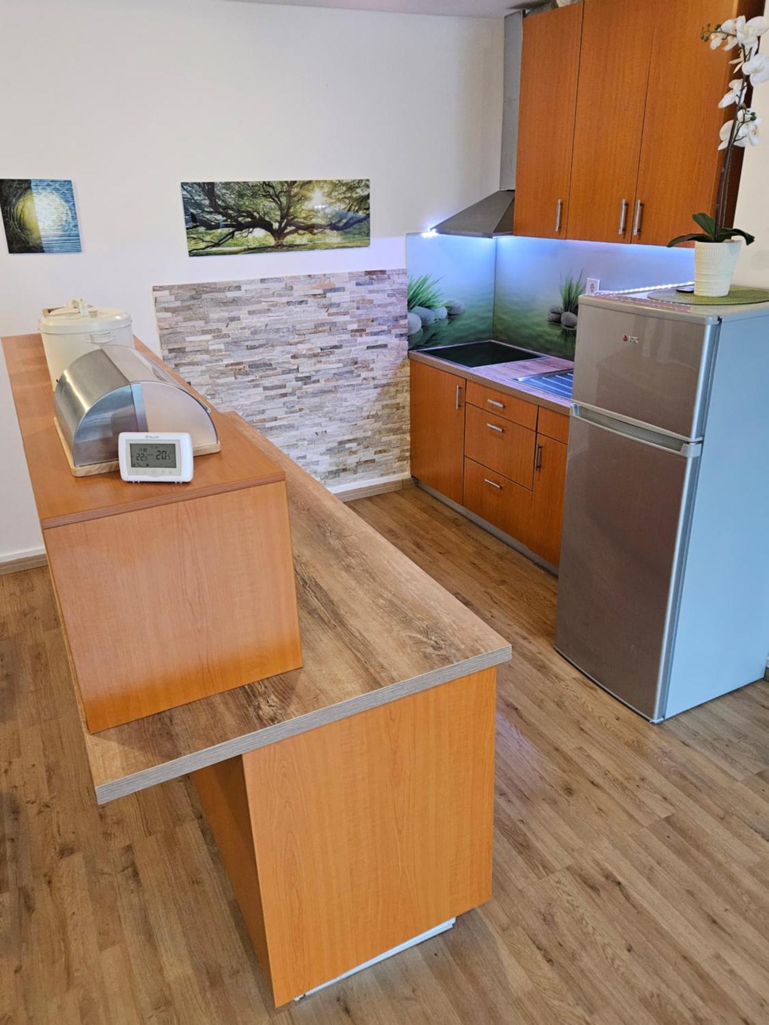 Apartment Zoya Kranjska Gora Exterior photo